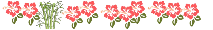 hibiscus flowers