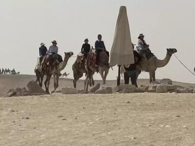 camels and tourists on the Giza plateau, Egypt